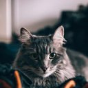 ���� Egor, ����� - ��������� 2 ������ 2019 � ������ ������ ��������