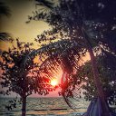 ���� ������, ����������, 56 ��� - ��������� 2 ����� 2019 � ������ ������ ��������