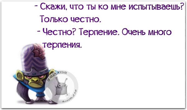 ������ ����� - 28 �������� 2018 � 16:40