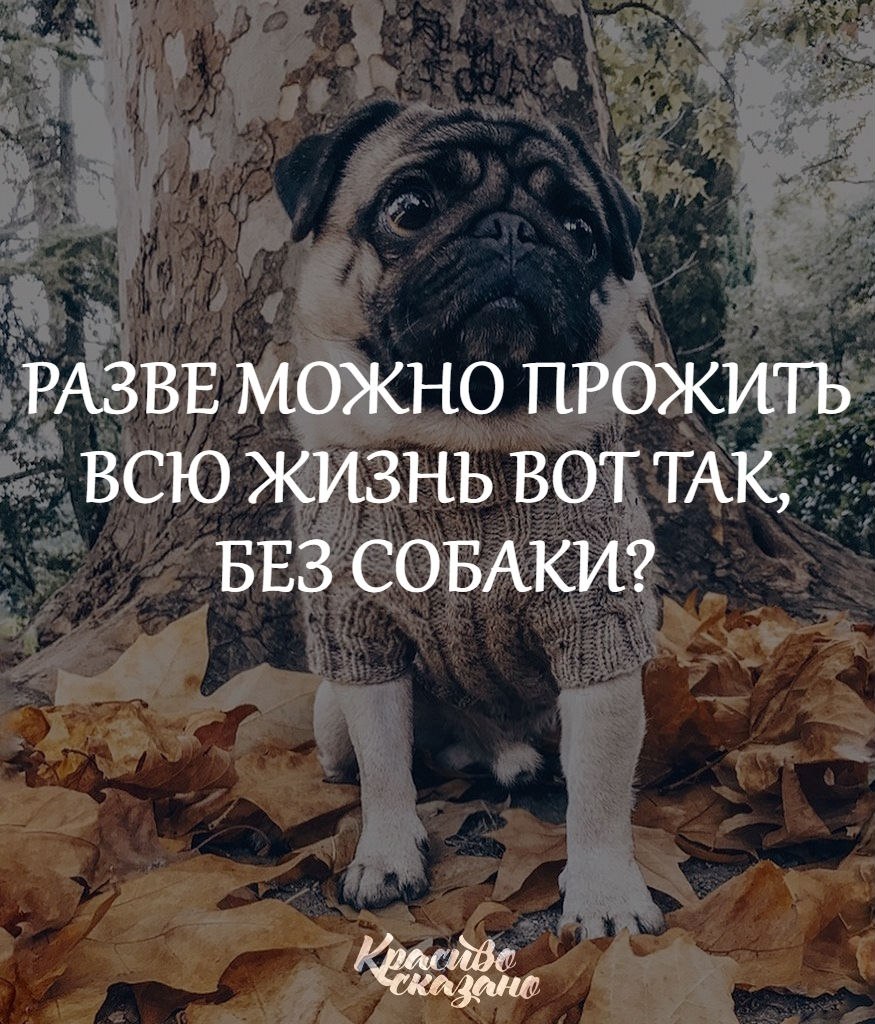   . . . - 15  2018  16:52