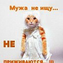 ���� �����, �����-��������� - ��������� 9 ������� 2018 � ������ ���� ����������
