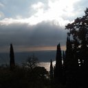 ,,25.02.19.10.50.        ,25.02.19.