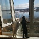 ������� �� ������� ���� ����������