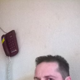 �������, �����-���������, 49 ���