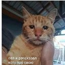 ���� Serega, ������������ - ��������� 8 ����� 2019