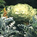 ���� ����, ������������ - ��������� 25 �������� 2018 � ������ ���� ����������