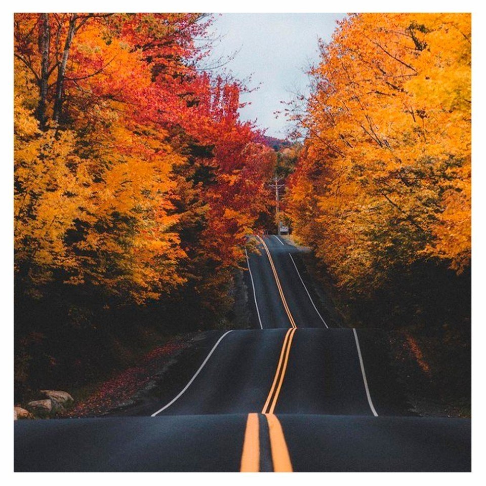  - 16  2018  16:34 - 7