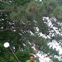 ���� ��� ���������, ������, 41 ��� - ��������� 7 ������� 2018