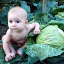 ���� ����, ����� - �������� - ��������� 12 ������ 2018