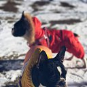 ���� ����, ���������, 51 ��� - ��������� 25 ������ 2018 � ������ ���� ����������