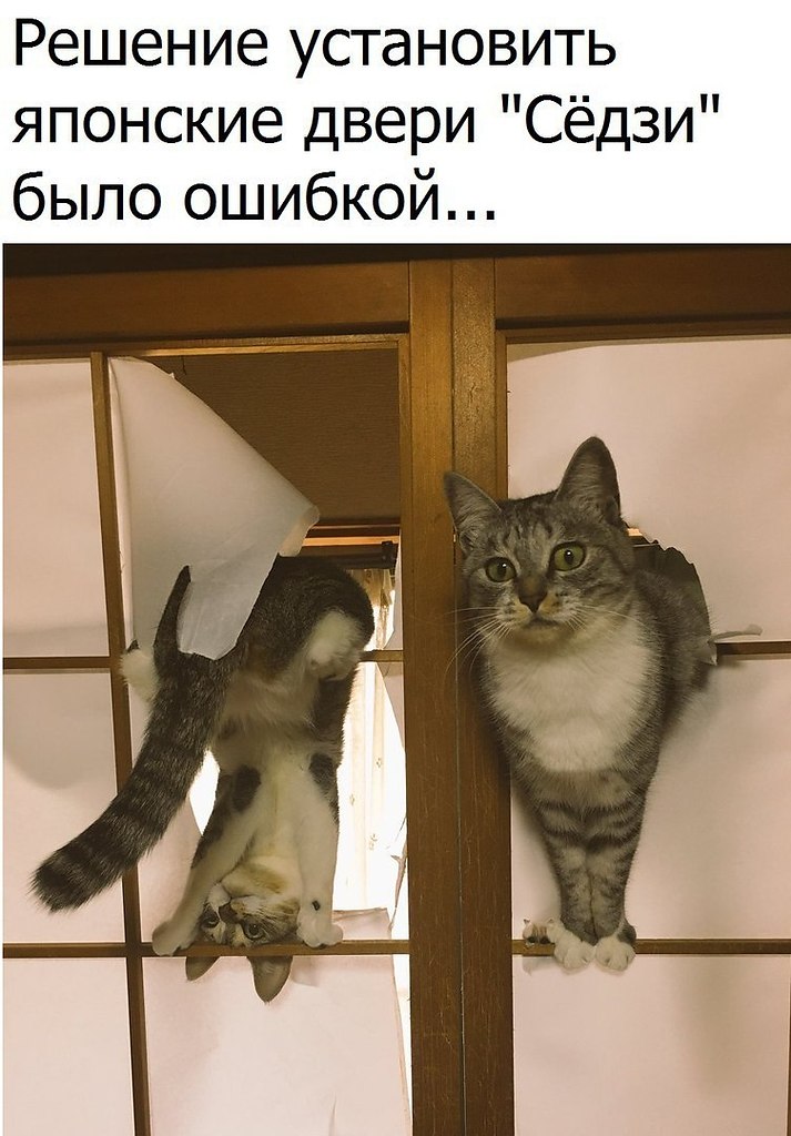 ������� - 24 ������� 2018 � 16:56