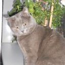 ���� �������, �����, 55 ��� - ��������� 16 �������� 2018