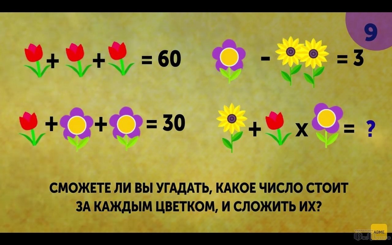 Угадай пример сколько будет