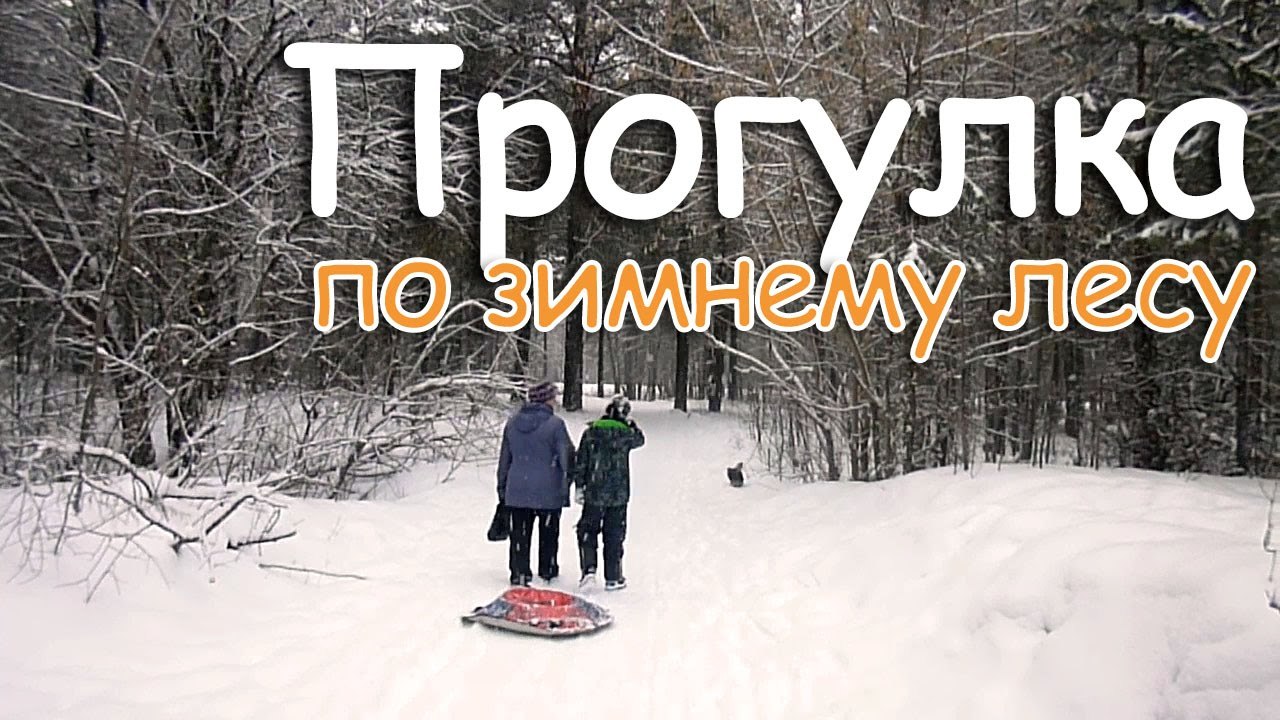 Прогулка по зимнему. День прогулки по зимнему лесу 24 февраля. прогулка по зимнему лесу. зимняя прогулка надпись. прогулка по лесу зимой.
