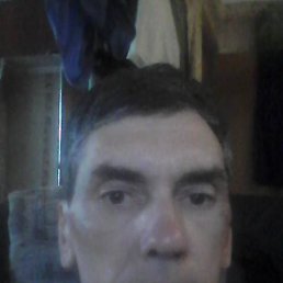 , 53 , 