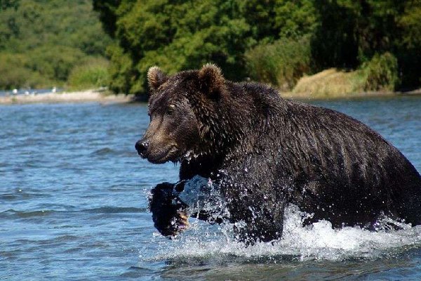 ��������� � ������.���������� ������� � ��� ��������� �� ������� ��������� ���� � ����� �������. ... - 8