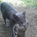 ���� ����, �������, 57 ��� - ��������� 24 ������� 2019 � ������ ������ ��������