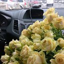 ���� �������������, ������-��-����, 41 ��� - ��������� 26 ������� 2019 � ������ ���� ����������