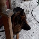 ���� ���������, ������������, 60 ��� - ��������� 28 ������ 2018 � ������ �������