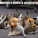 ���� ������, ����������� - ��������� 29 ������� 2018 � ������ ���� ����������