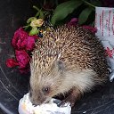 Фото Владимир, Солнечная Долина - добавлено 7 ноября 2018