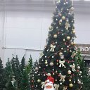 ����� 2019 ��� �� ������� ���� ����������