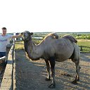 ���� �����, �������, 40 ��� - ��������� 28 �������� 2018 � ������ ���� ����������