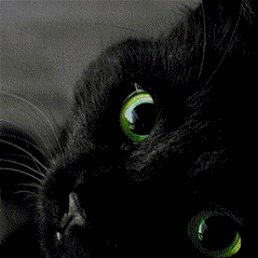 ����, ������, 45 ���