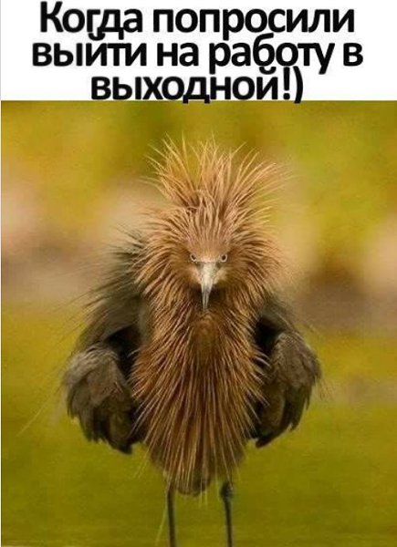 ��������� - 25 ������� 2019 � 12:31