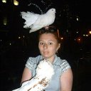 ���� �������, �������, 43 ���� - ��������� 25 ������ 2018 � ������ ���� ����������