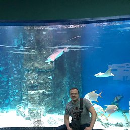 �����, ������, 37 ���