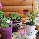 ���� Vassa, ���� - ��������� 4 ������ 2018 � ������ ������ ��������
