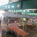 ���� Gregori, ������ - ��������� 12 ������� 2018 � ������ ���� ����������