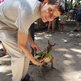 ����, ������, 39 ���