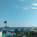 ���� ���������, ������, 54 ���� - ��������� 20 �������� 2018 � ������ ���� ����������