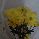 ���� ����, �������, 52 ���� - ��������� 8 ����� 2019