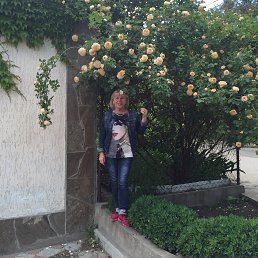 ���� �������, �����������, 68 ��� - ��������� 16 ������� 2019