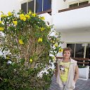 ���� Galina, �������, 55 ��� - ��������� 17 ����� 2019 � ������ ���� ����������