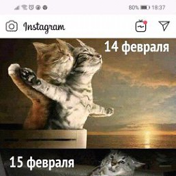 ���� �isa, ������, 40 ��� - ��������� 27 ������� 2019