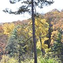 ���� Igor, ��� ����, 62 ���� - ��������� 7 ������ 2018 � ������ �Bear Mountain�