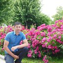 ���� ��������, ���������, 37 ��� - ��������� 20 ������� 2018 � ������ ���� ����������