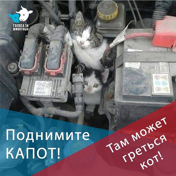  Ѩ  - 30  2018  19:45