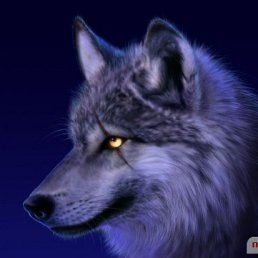 �����, �����-���������, 48 ���