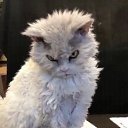 ���� Elena, ��������� - ��������� 22 ������� 2018