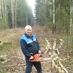 ������, ������, 67 ���