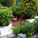 ���� ������, ������, 56 ��� - ��������� 2 ����� 2019 � ������ ���� ����������