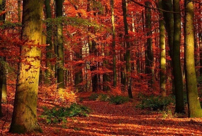  ). ,   ,  !     , ... - 6