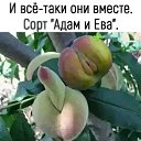 ���� ���������, �����-��������, 54 ���� - ��������� 20 ������� 2018 � ������ ������ ��������