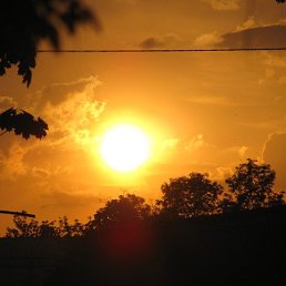 �����, ����, 44 ����