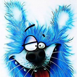 C���, �������, 39 ���